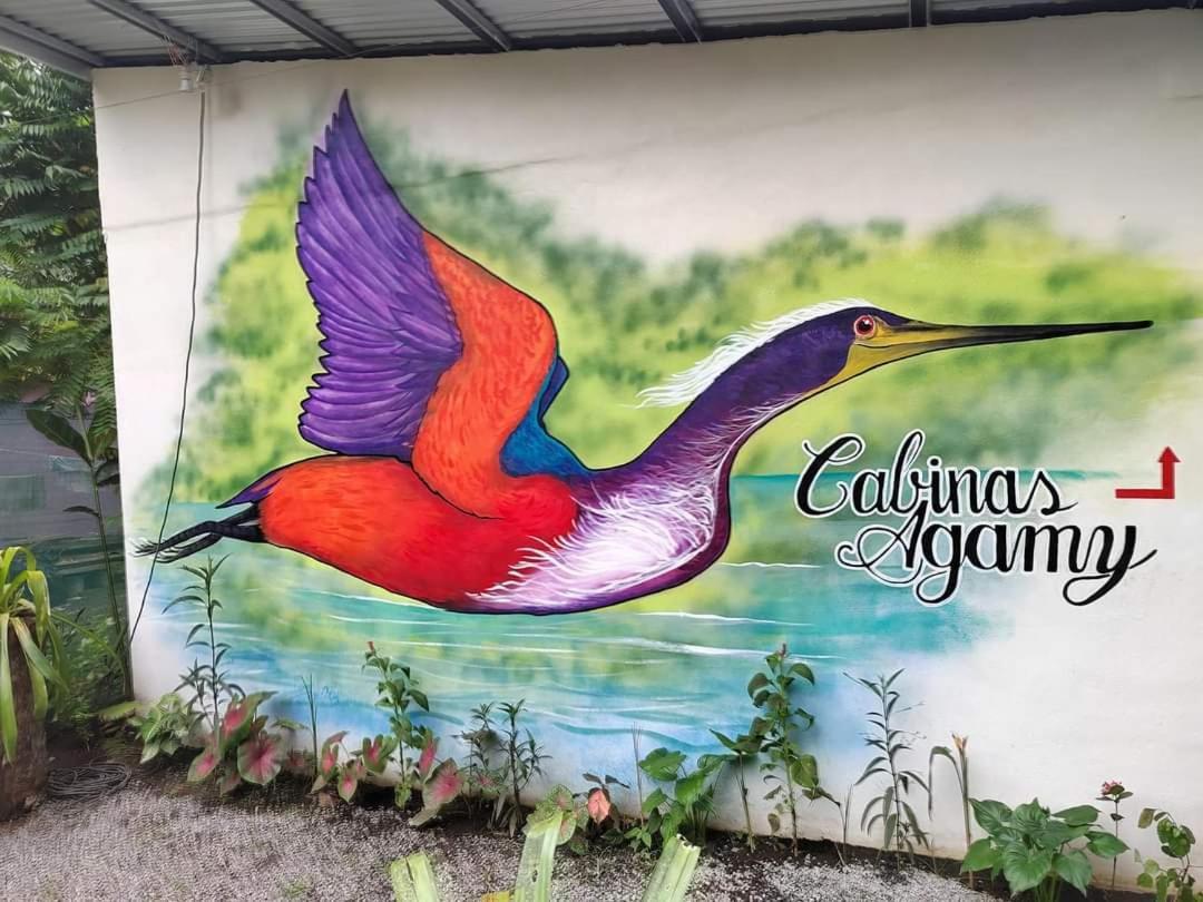 Cabinas Agamy 托尔图格罗 外观 照片