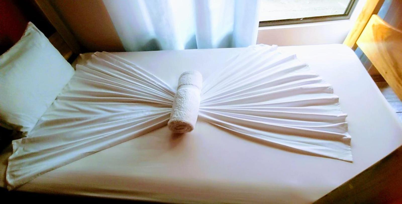 Cabinas Agamy 托尔图格罗 外观 照片